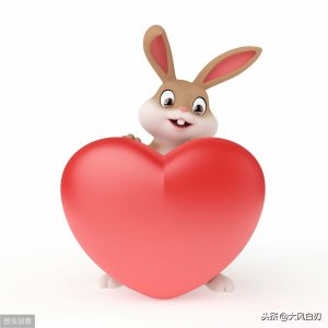 ​兔子有多少层意思？