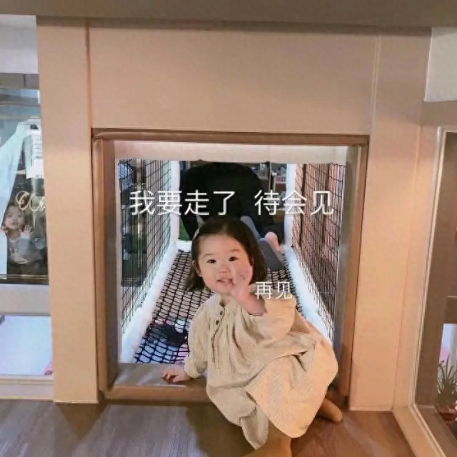 表情包：生气了，哄我就现在，哄不好就家法