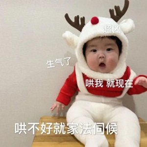 ​表情包：生气了，哄我就现在，哄不好就家法