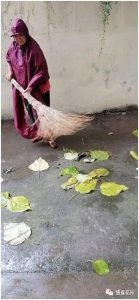 ​临沂南关社区：人居环境整治常态长效 不惧风雨