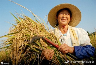 ​15秒一个单词（第2206个）harvest