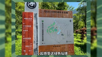 ​四川大熊猫基地曝光