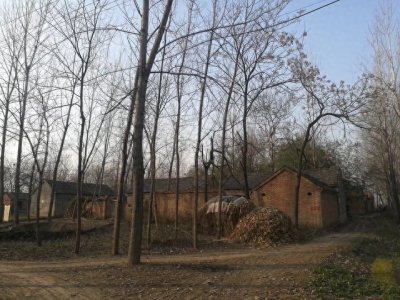 ​项城：封控之下，探秘豫东瑰宝之城