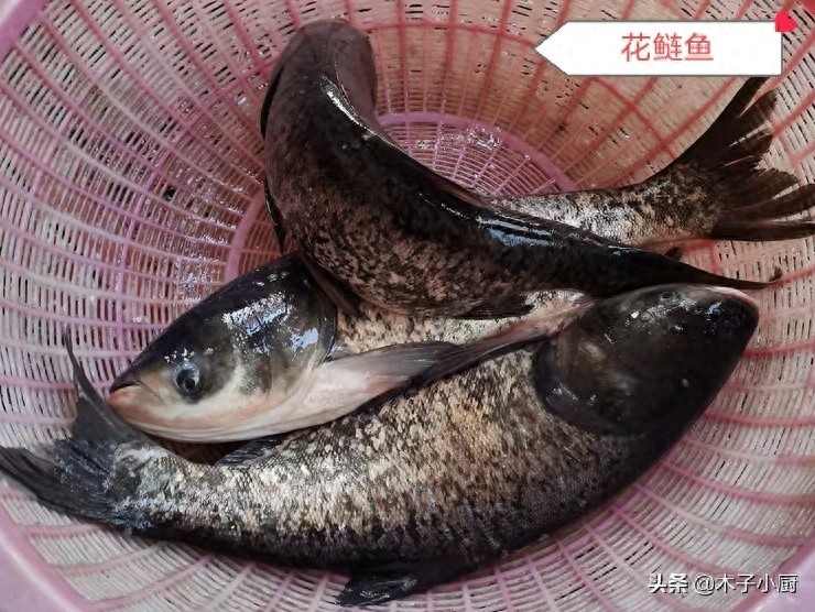 盘点常用来制作酸菜鱼的7种鱼，图2性价比最高，图8口感最差