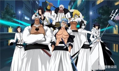 ​《死神》十刃落幕之局，千年血战惊鸿再临！