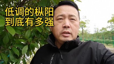 ​低调的枞阳 到底有多强