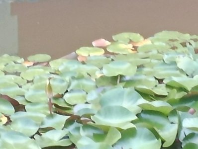 ​一起探索开封旅游攻略