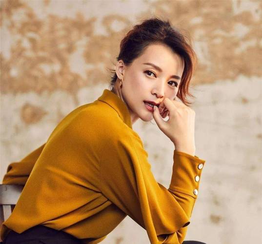 董卿是谁的小三