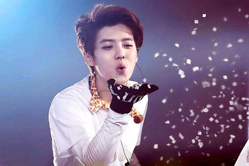 鹿晗最近为什么不火了(鹿晗现在怎么不火了)  第10张