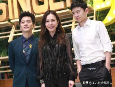 ​歌坛四大天王是谁(内地乐坛崛起“四大天王”)