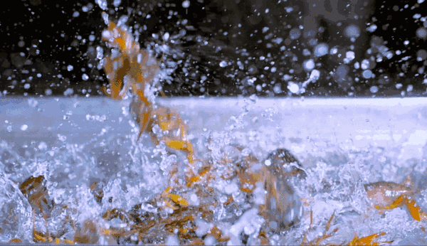 天津北戴河有什么好玩的（别去北戴河挤了）(49)