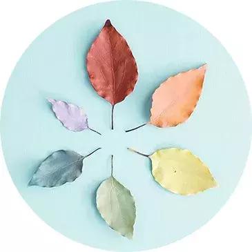 天津北戴河有什么好玩的（别去北戴河挤了）(30)