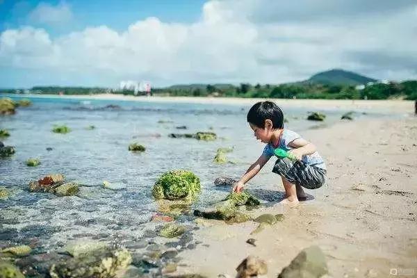 天津北戴河有什么好玩的（别去北戴河挤了）(48)