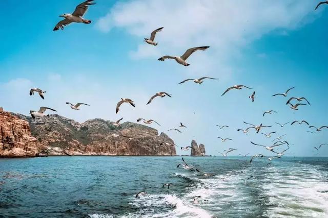 天津北戴河有什么好玩的（别去北戴河挤了）(40)