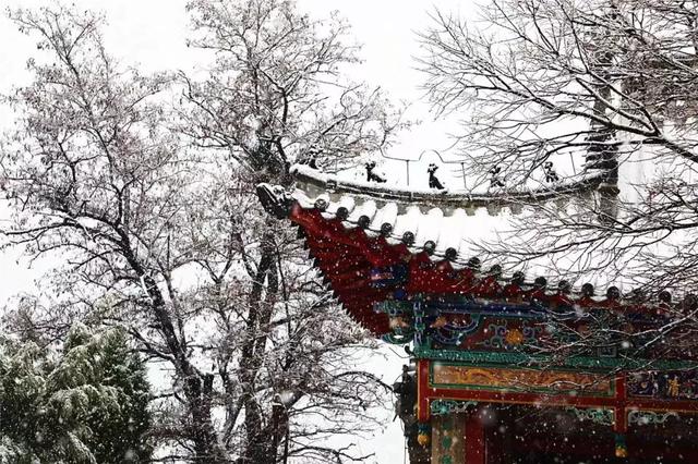 天津北戴河有什么好玩的（别去北戴河挤了）(44)