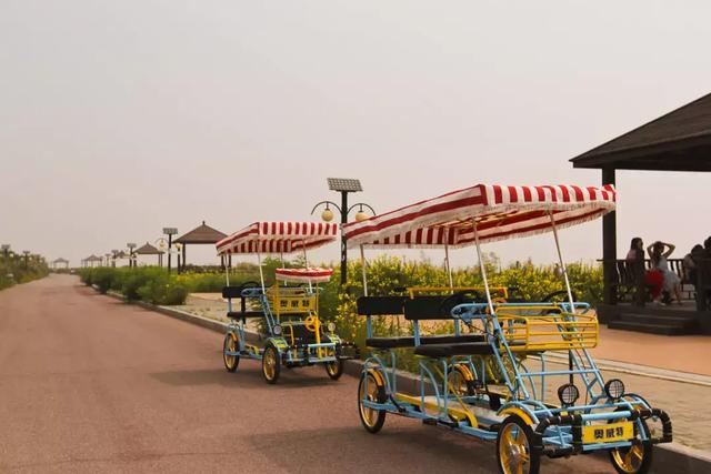 天津北戴河有什么好玩的（别去北戴河挤了）(28)