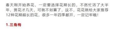 ​最适合春天种的60种花，365天有花看，咋养都好活