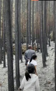 ​贵州山火怎么引起的？均为人为原因！