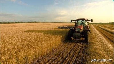 ​农民真正的出路究竟在哪里？老人指出了两大途径，说到农民心坎上