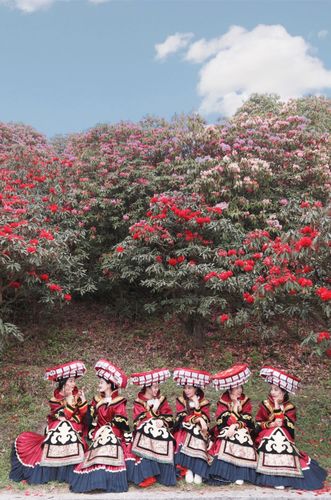 1、百里杜鹃风景区