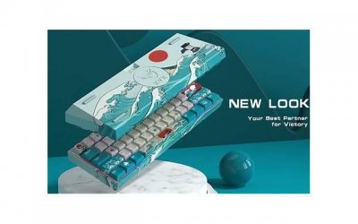 ​倪萍倪大红，61岁倪萍和60岁倪大红关系被曝光