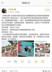 ​王珞丹的柯尔鸭，到底是个什么鸭？