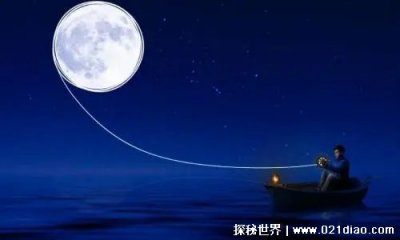 ​女生说我不看月亮是什么意思，表达爱意的隐晦说法