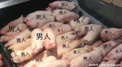 ​网络用语大猪蹄子是什么意思，男人都是大猪蹄子出自哪里