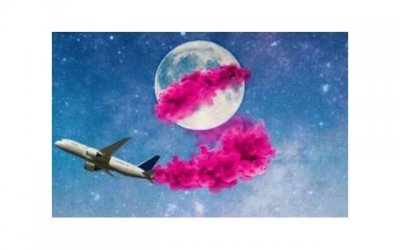 ​蕾丝内裤抖音案牍（蕾丝内衣广告语）