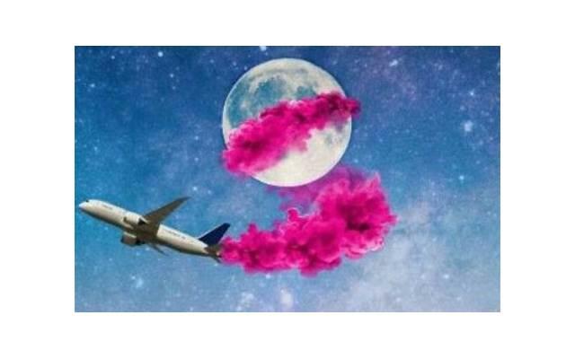 蕾丝内裤抖音案牍（蕾丝内衣广告语）