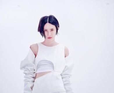 林秀香整过容 林秀香早期照片对比