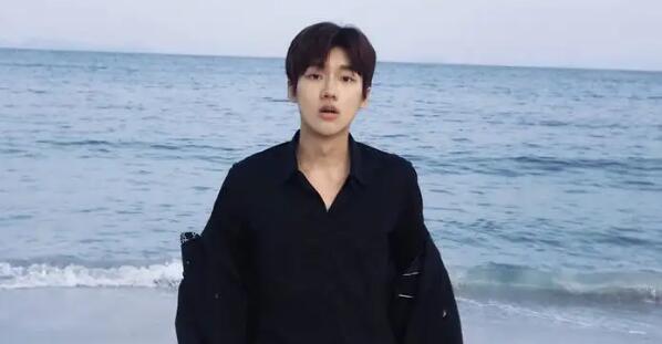 女士的法则陈珂扮演者是谁