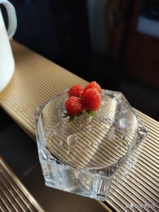 ​乌泡子-我们全家儿时的回味