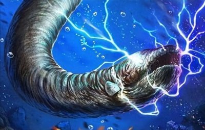 ​电鳗如何放电捕猎？它的“电池”会耗尽吗？