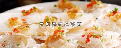 ​元贝是什么东西