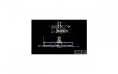 ​表白送什么花，适合表白象征爱情的7种花