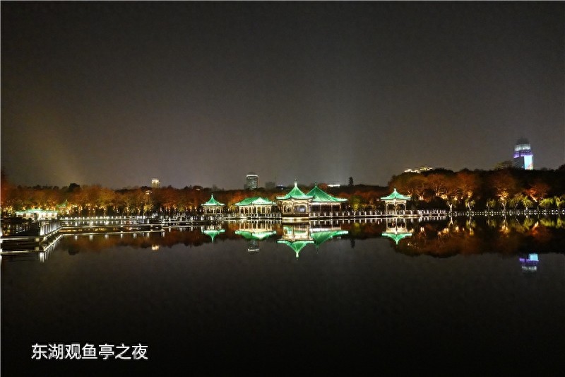 “大美东湖灯耀江城”2020第六届武汉东湖灯会开幕