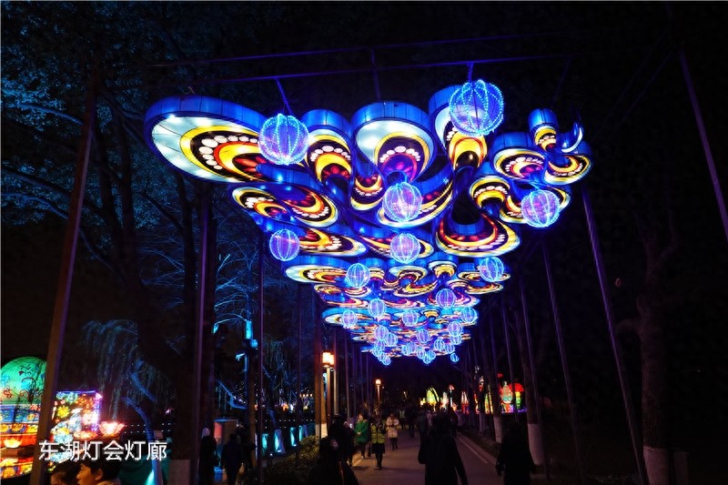 “大美东湖灯耀江城”2020第六届武汉东湖灯会开幕