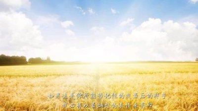 ​感觉自己心好累怎么办(感觉自己特别心累怎么办)