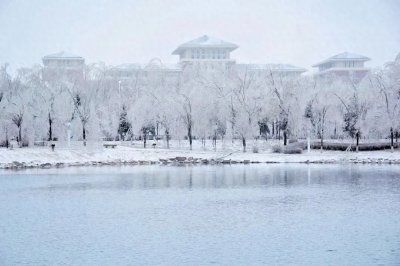 ​上海公安学院：低调而强大的就业保障，毕业生捧上“铁饭碗”