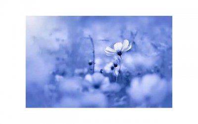 ​处女座女生喜欢什么样的男生