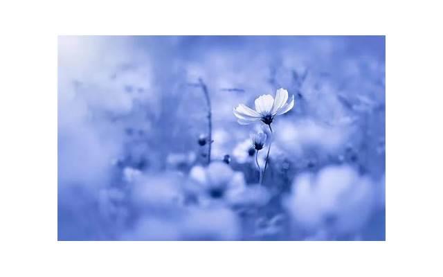 处女座女生喜欢什么样的男生