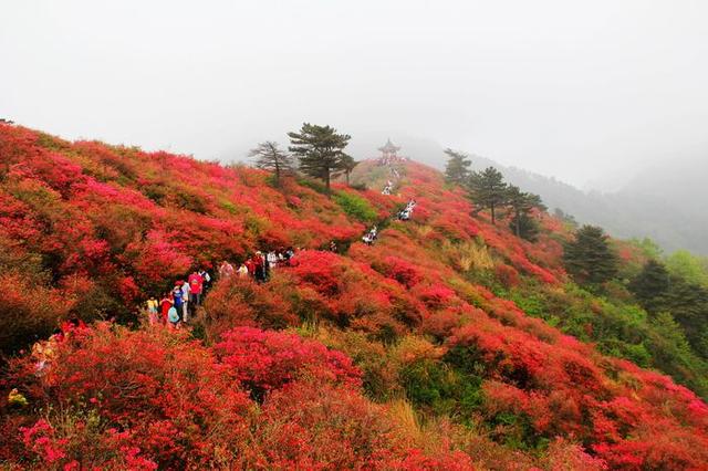 河源龟峰塔的传说（龟峰山的传说）(9)
