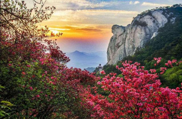 河源龟峰塔的传说（龟峰山的传说）(2)