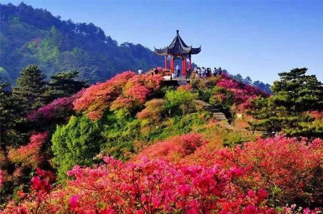 河源龟峰塔的传说（龟峰山的传说）(4)