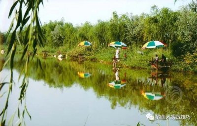 ​春钓只用这一招，活虾钓鱼法，没有一次空军