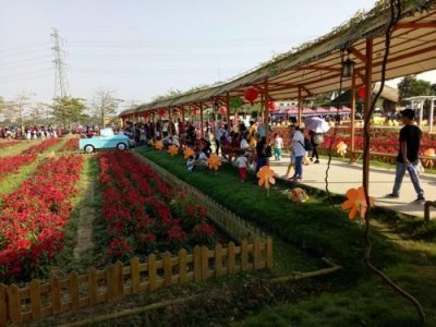 ​盈香生态园门票_盈香生态园旅游攻略