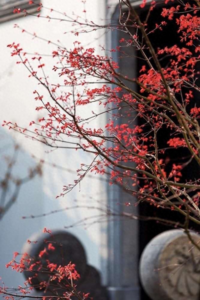 [赏析]10亿天价背后的无言大美——苏州桃花源