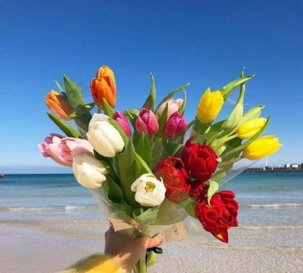 母亲节的说说简洁,祝自己母亲节朋友圈说说简短图4