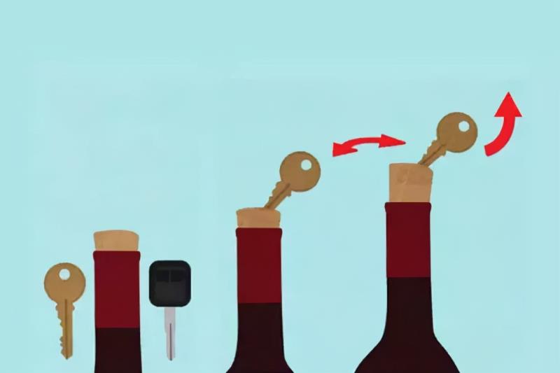 凯撒之手红酒多少钱一瓶（凯撒干红葡萄酒最新报价）(15)